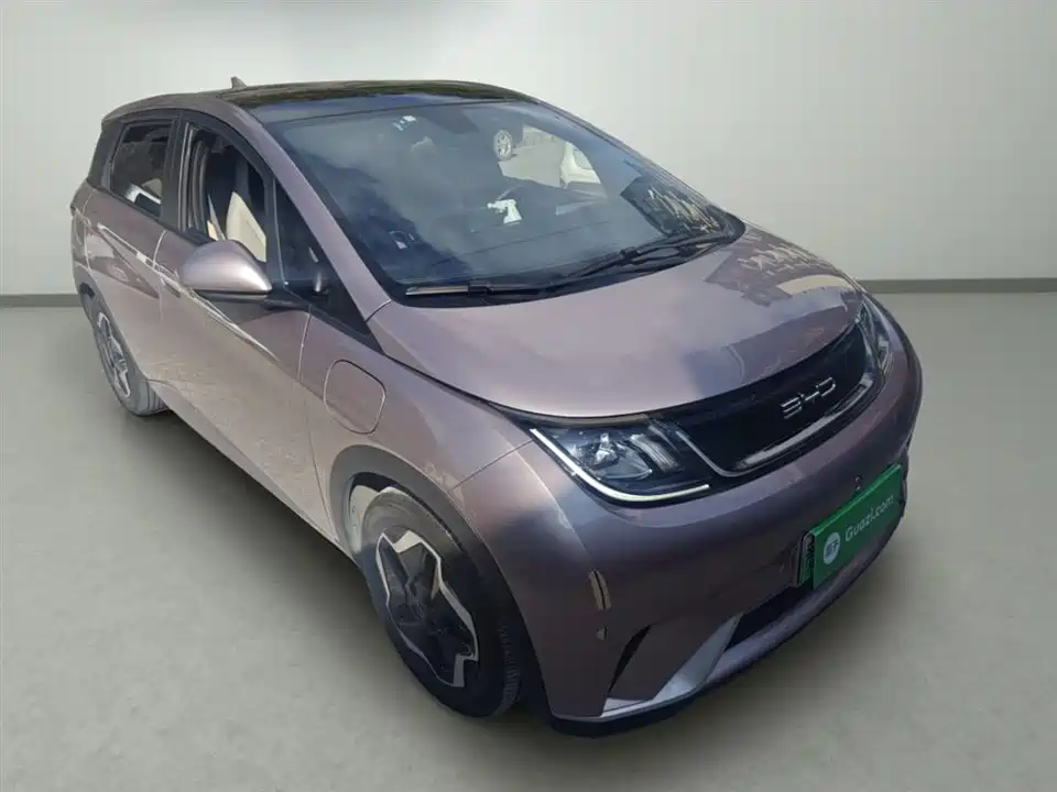 BYD dolphin