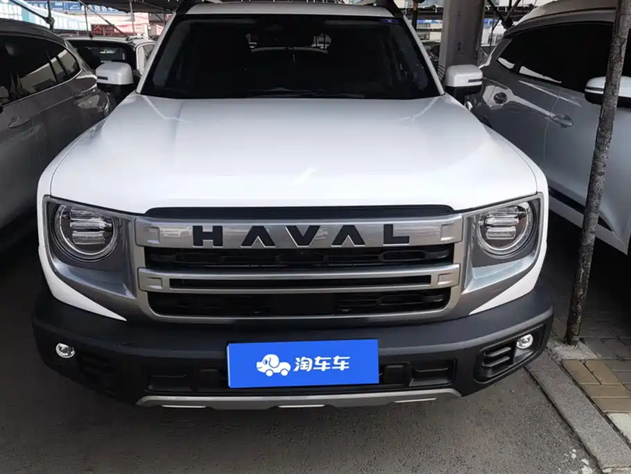 Haval Big dog