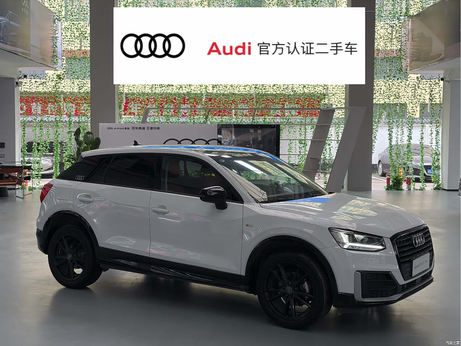 Audi Q2L, 2021 2