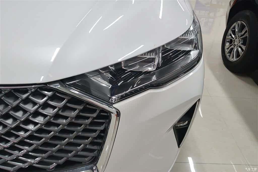 Haval H6, 2025 все фото