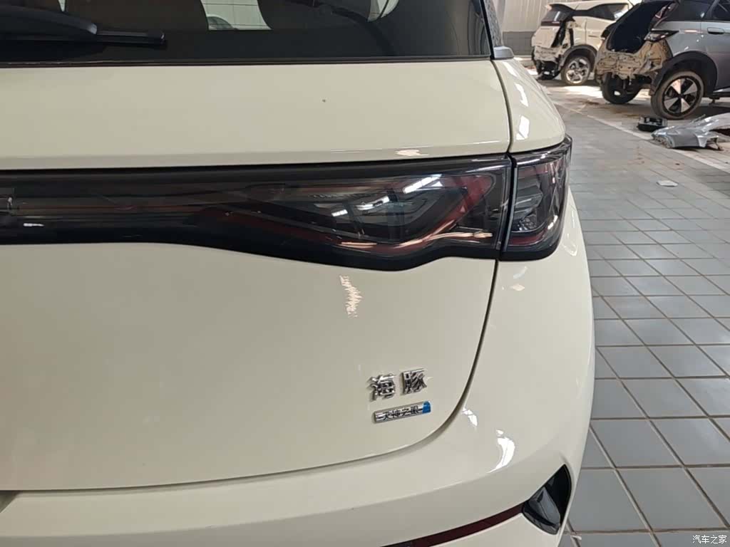 BYD Dolphin, 2025 8
