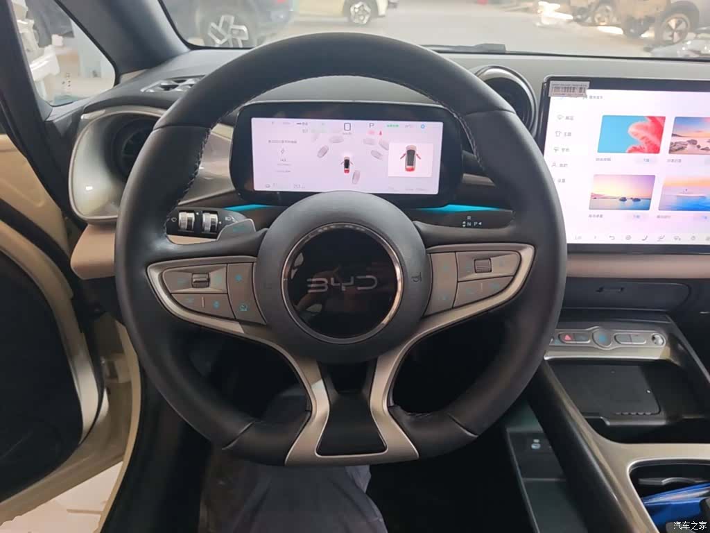 BYD Dolphin, 2025 11