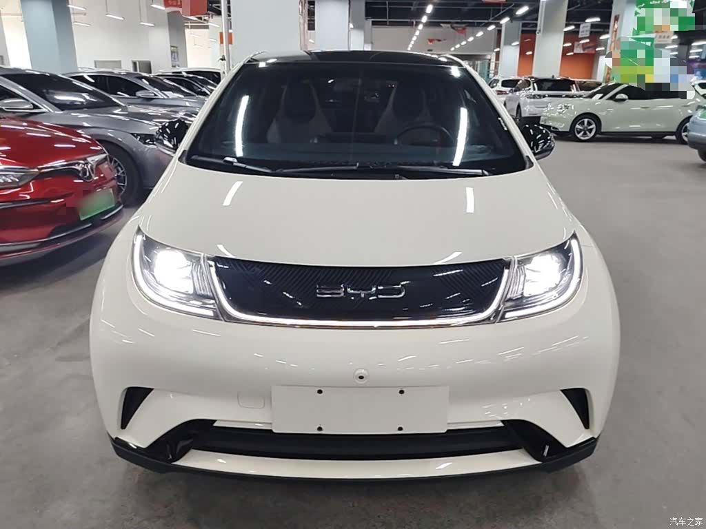 BYD Dolphin, 2023 3