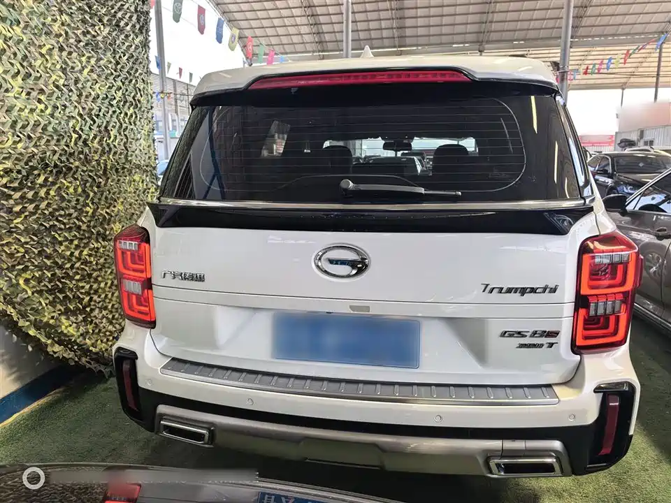 Trumpchi Trumpchi GS8