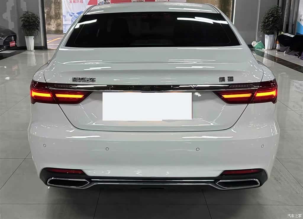 Geely Binray, 2020 8