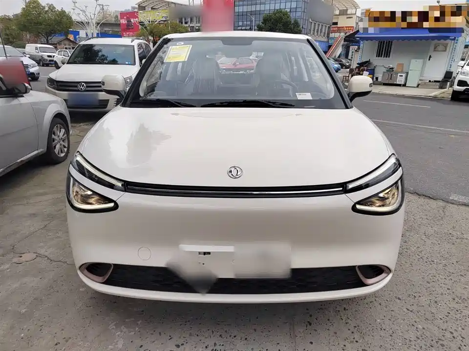 Dongfeng Nammi Nano 01