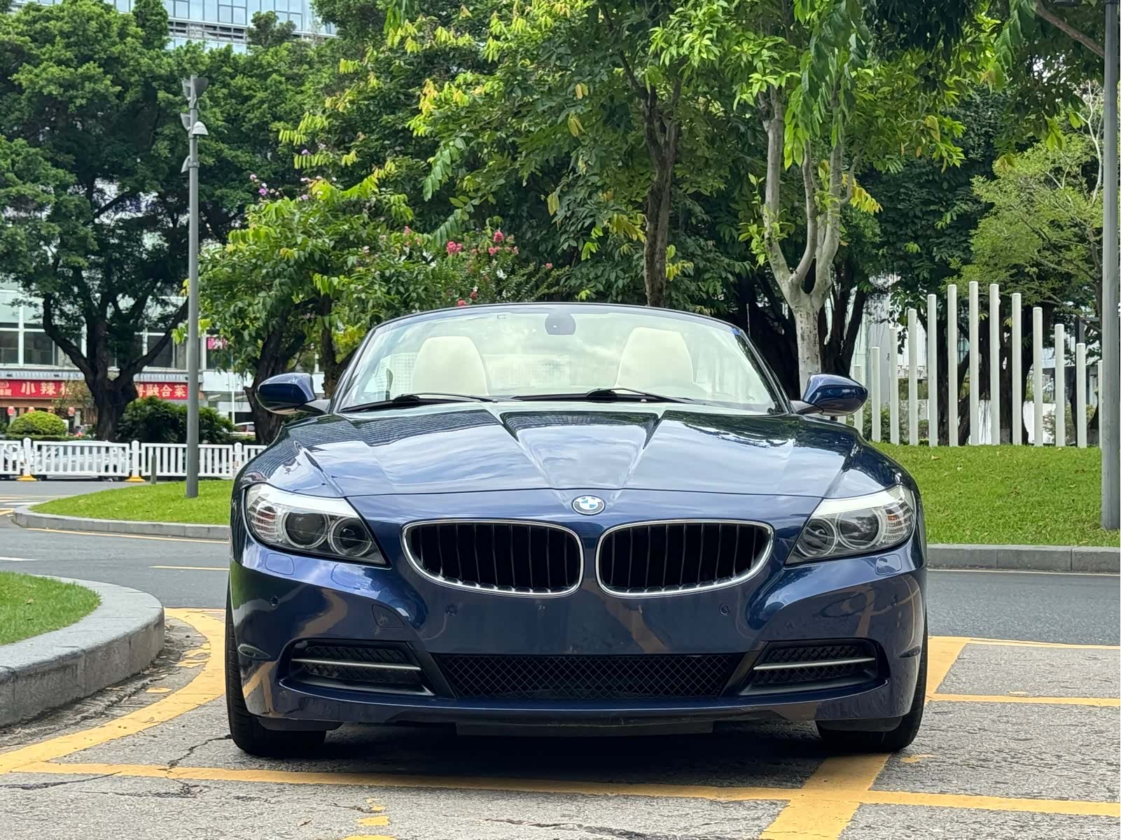 BMW Z4, 2010 2