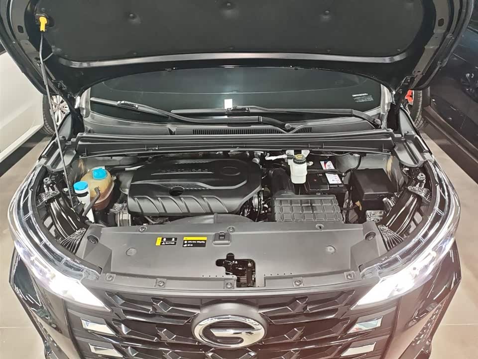 Trumpchi Trumpchi M6
