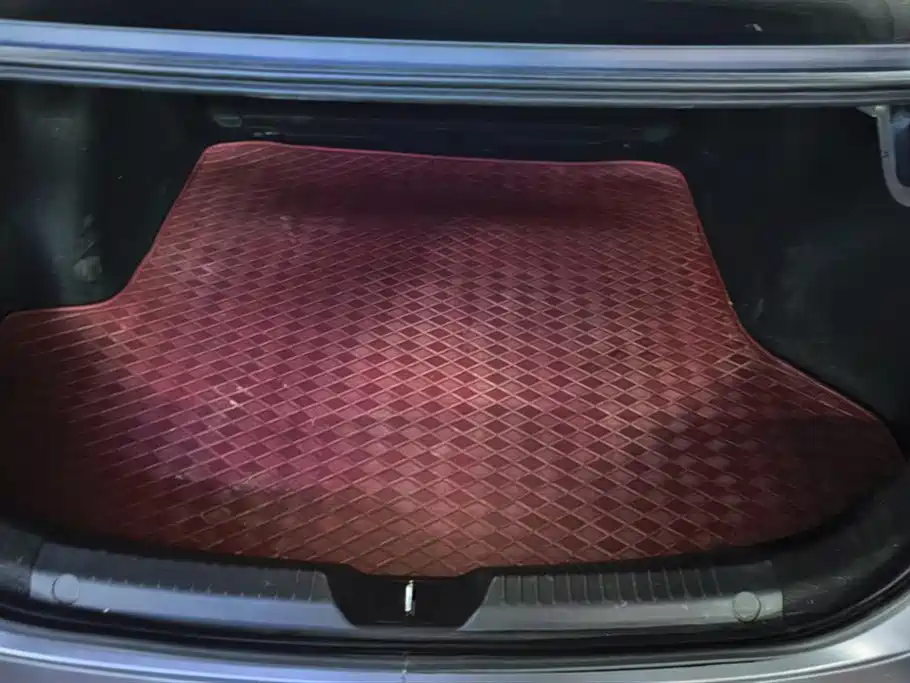 Trumpchi Shadow Leopard