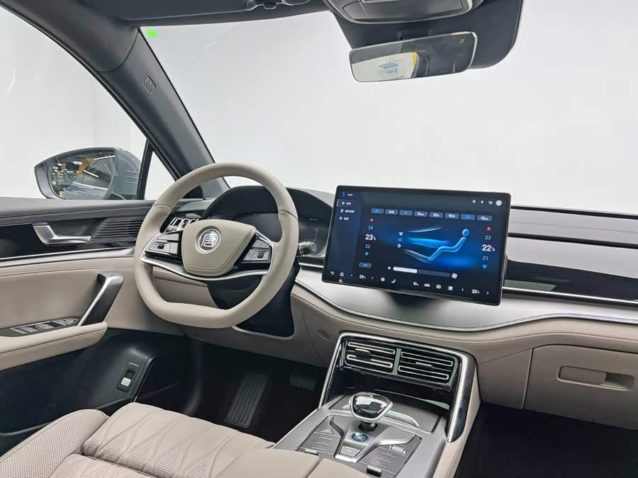 BYD Tang New Energy 2025, фото 26