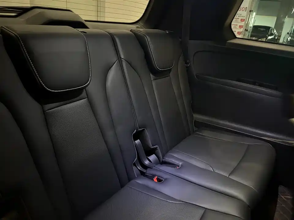 Trumpchi Trumpchi GS8