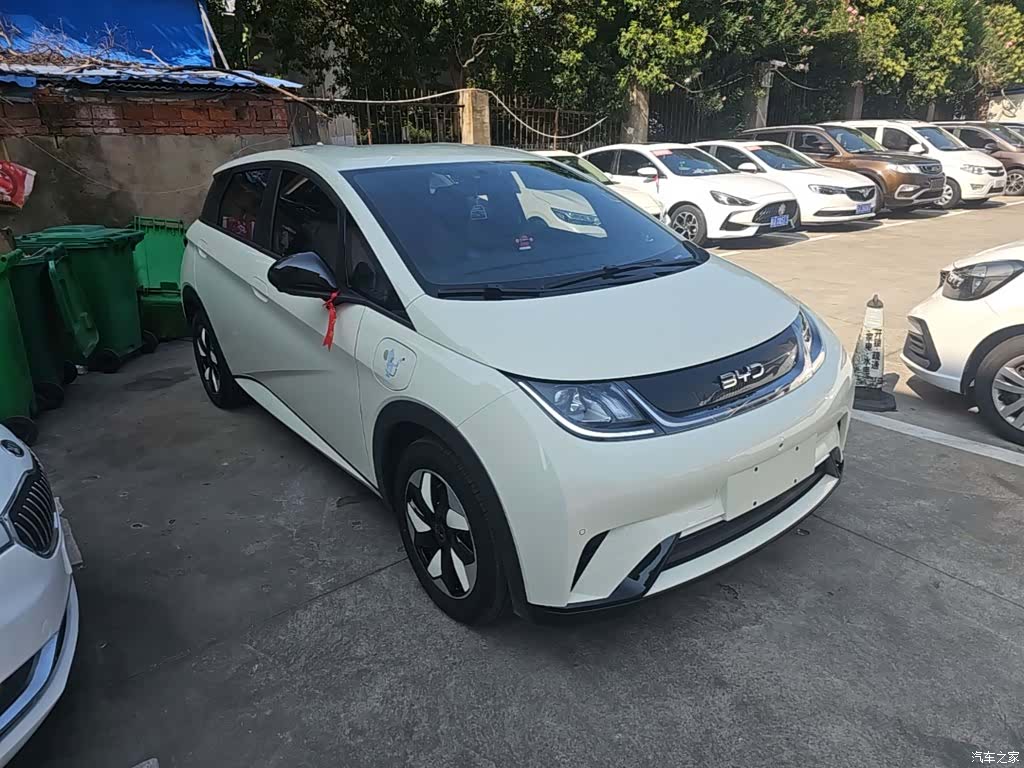 BYD Dolphin, 2025 4