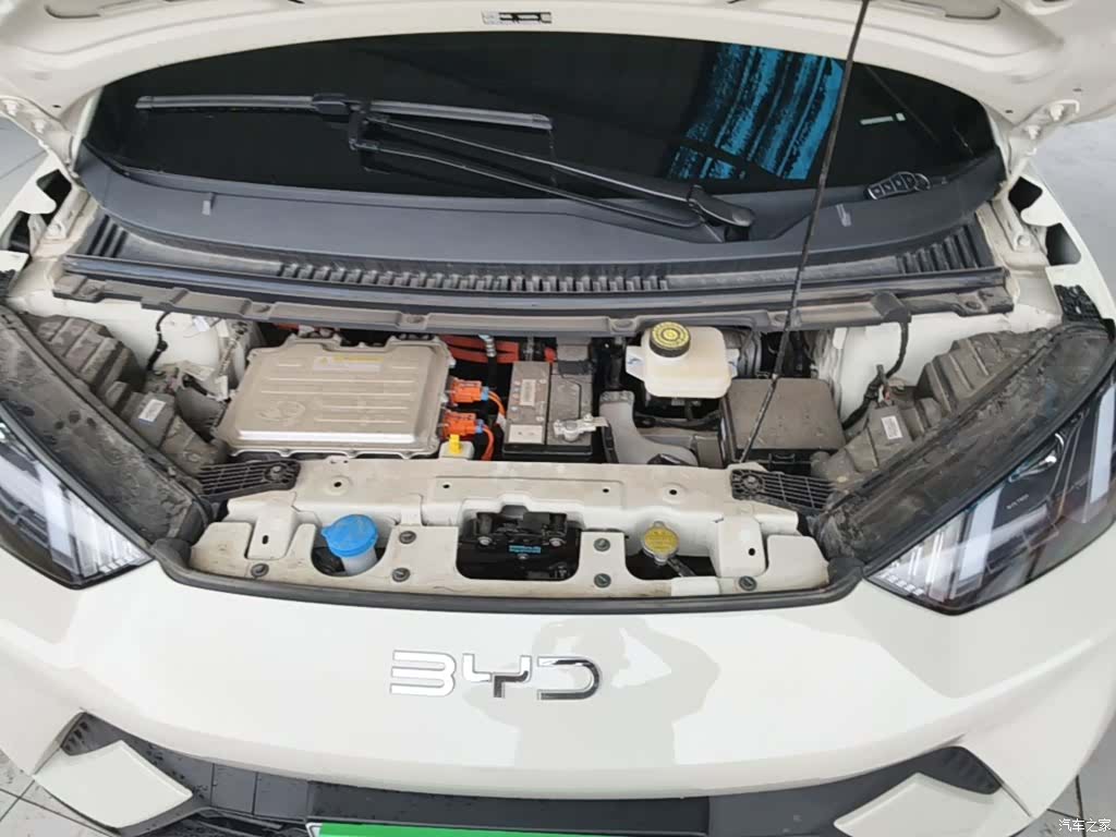 BYD Seagull, 2025 20