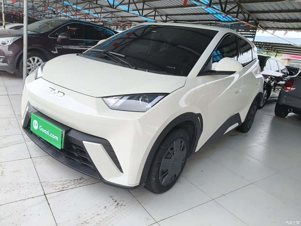 BYD Seagull, 2025 1