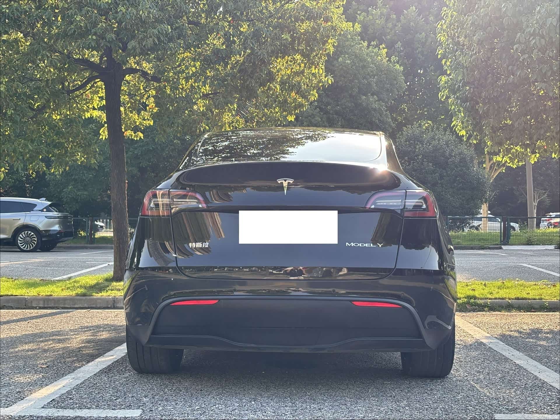 Tesla Model Y, 2023 15