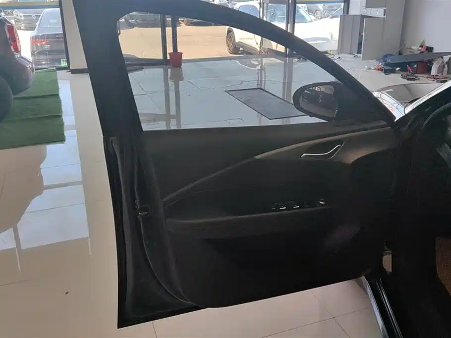 Wuling Wuling Starlight