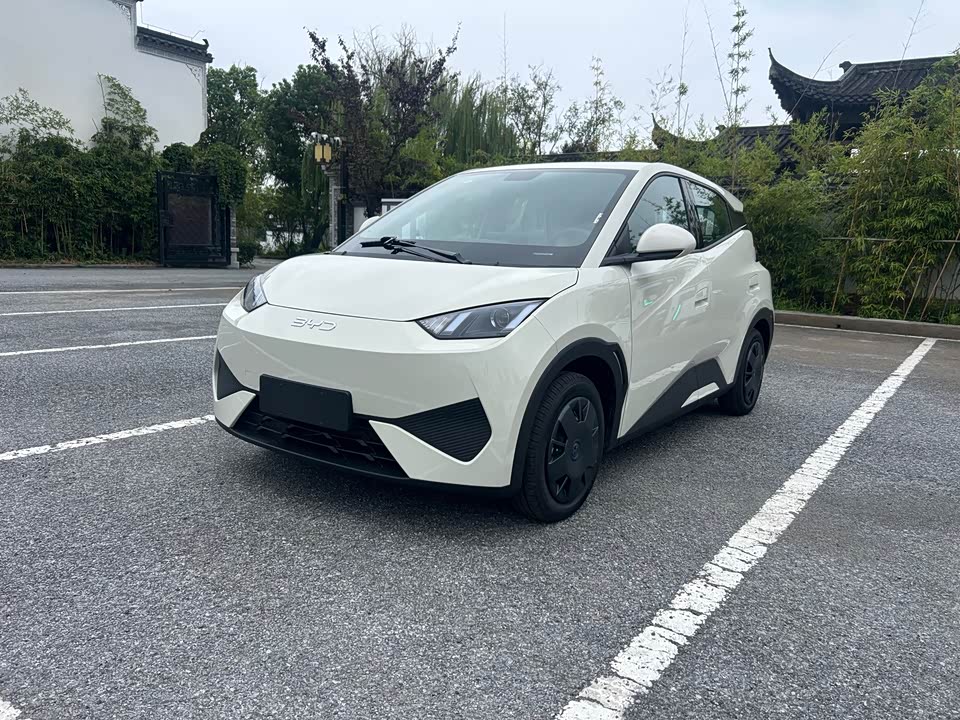 BYD Seagull