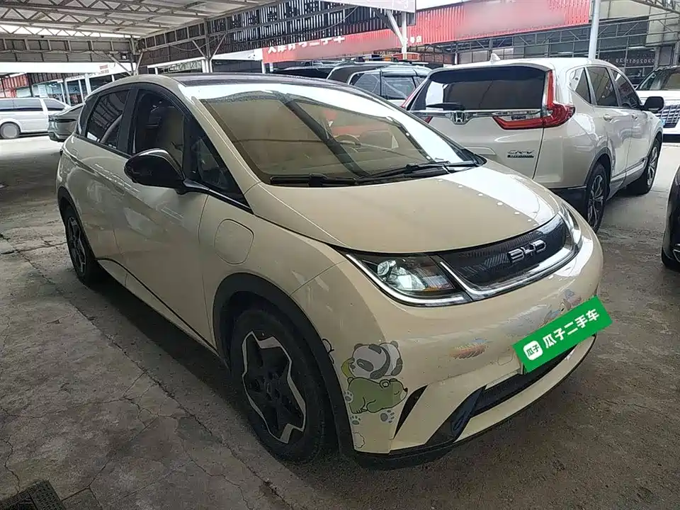 BYD dolphin