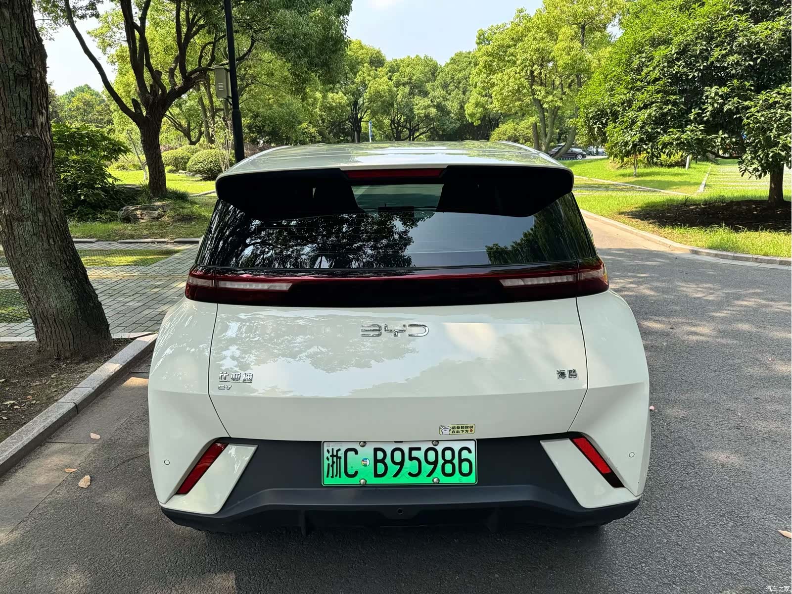BYD Seagull, 2024 все фото