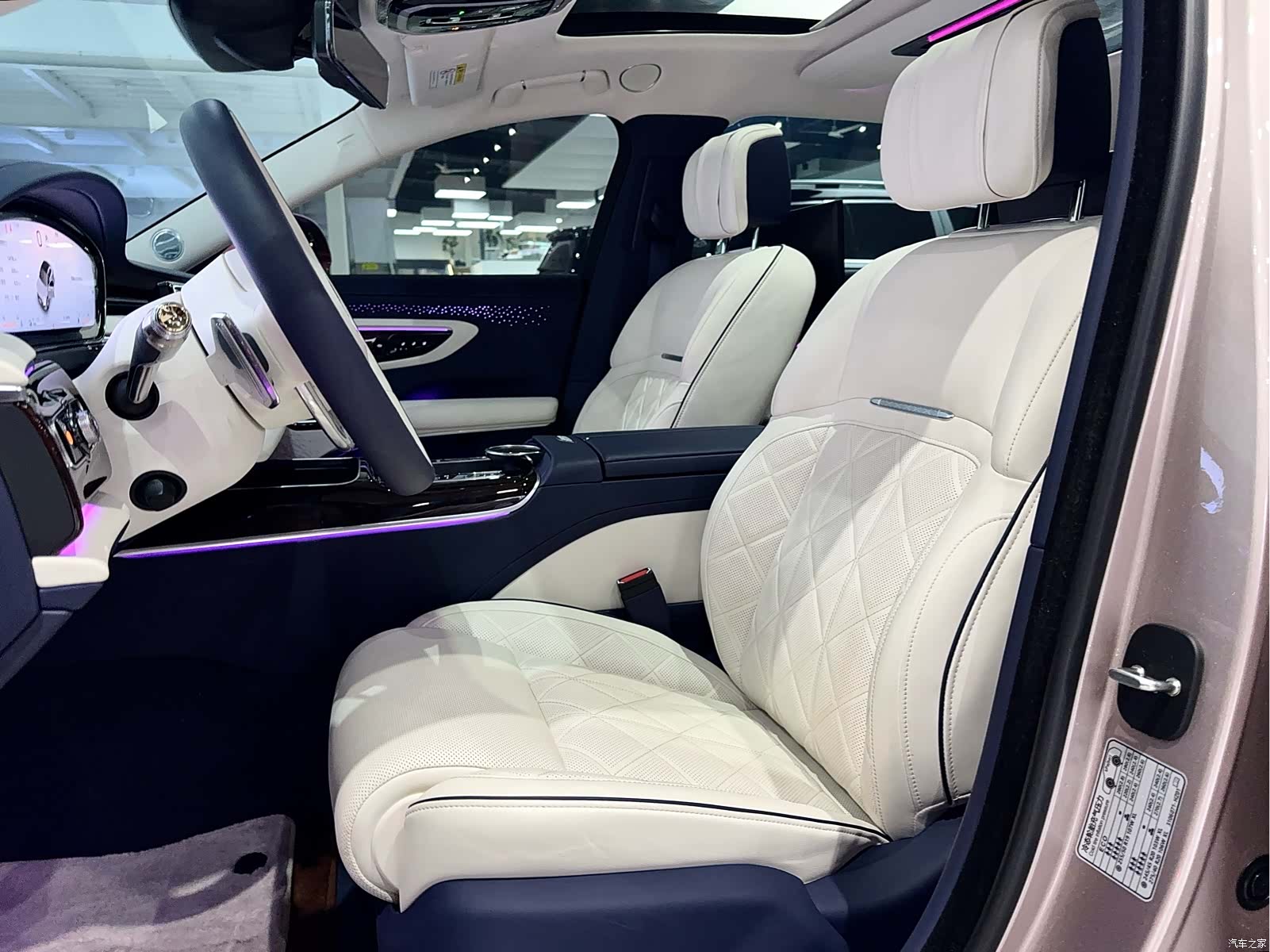 Hongqi Guoya, 2025 19
