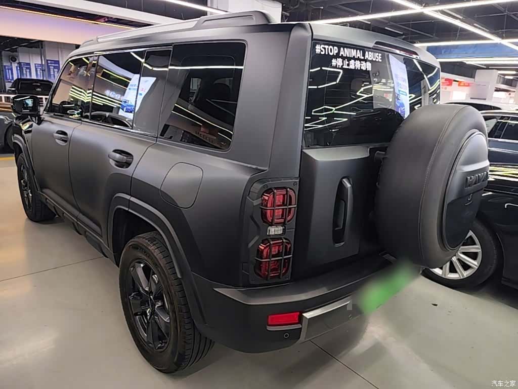 Haval Raptor, 2024 все фото