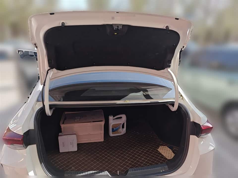 Trumpchi Shadow Leopard