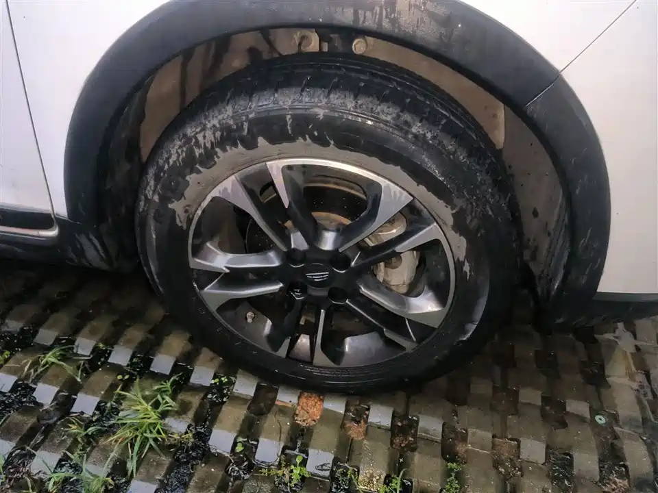 Geometry EX3 Kung Fu Cow