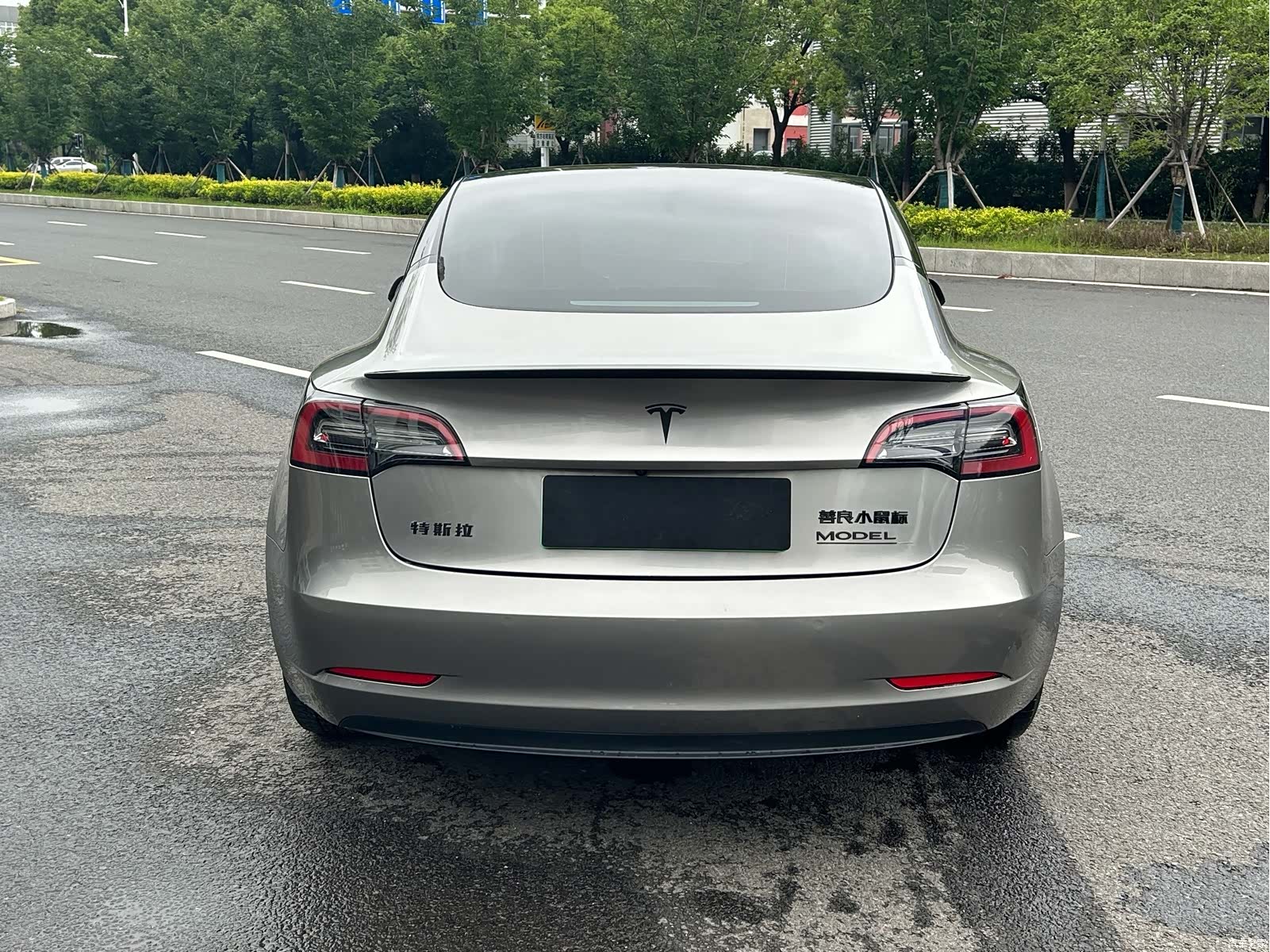 Tesla Model 3, 2021 9