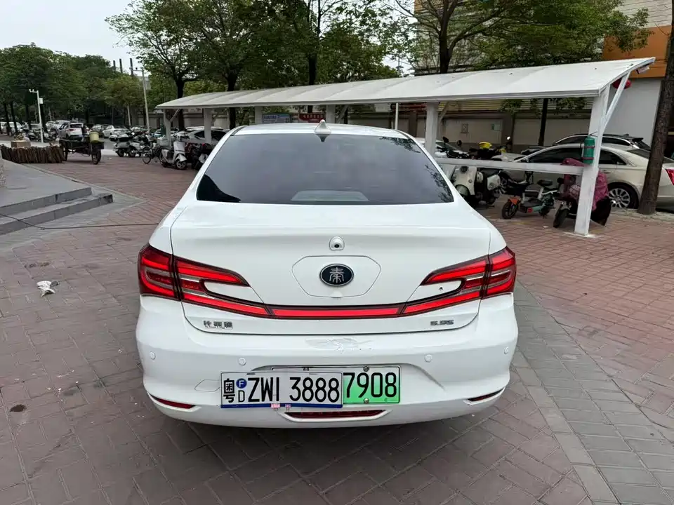 BYD Qinxin Energy