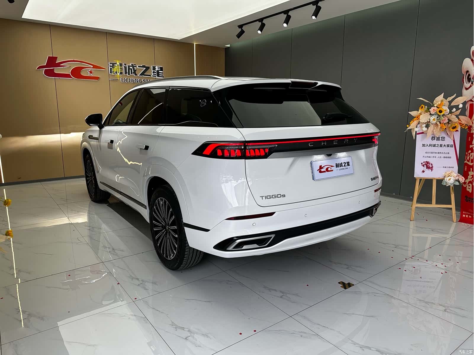 Chery Tiggo 9, 2025 6