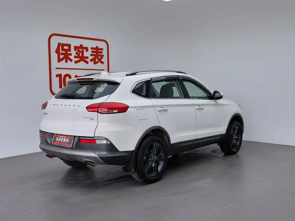 Leopaard Cheetah CS10