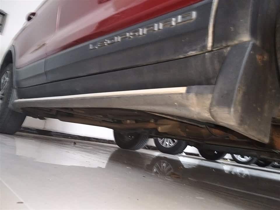 Leopaard Cheetah CS9