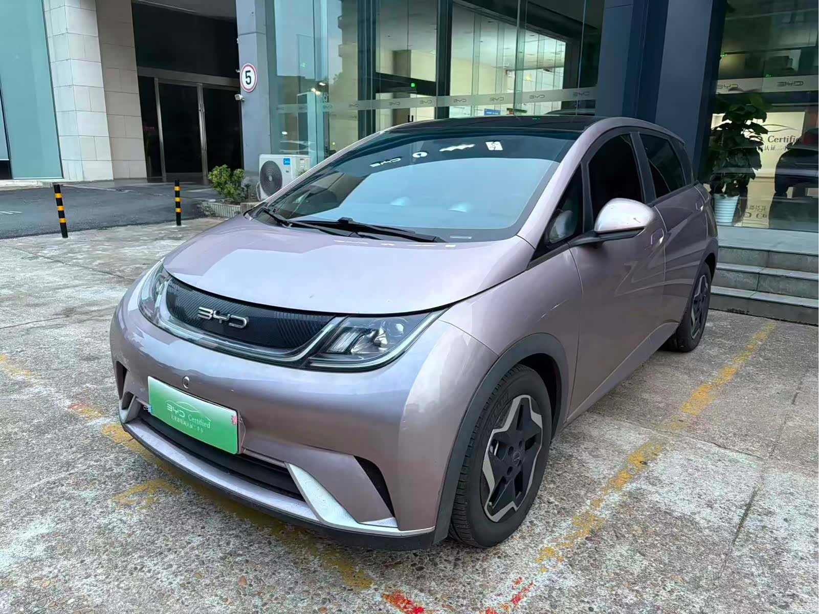 BYD Dolphin, 2022 1