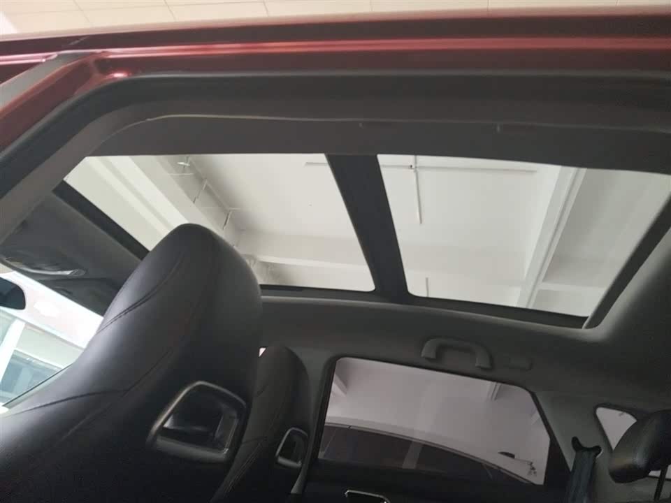 Leopaard Cheetah CS9