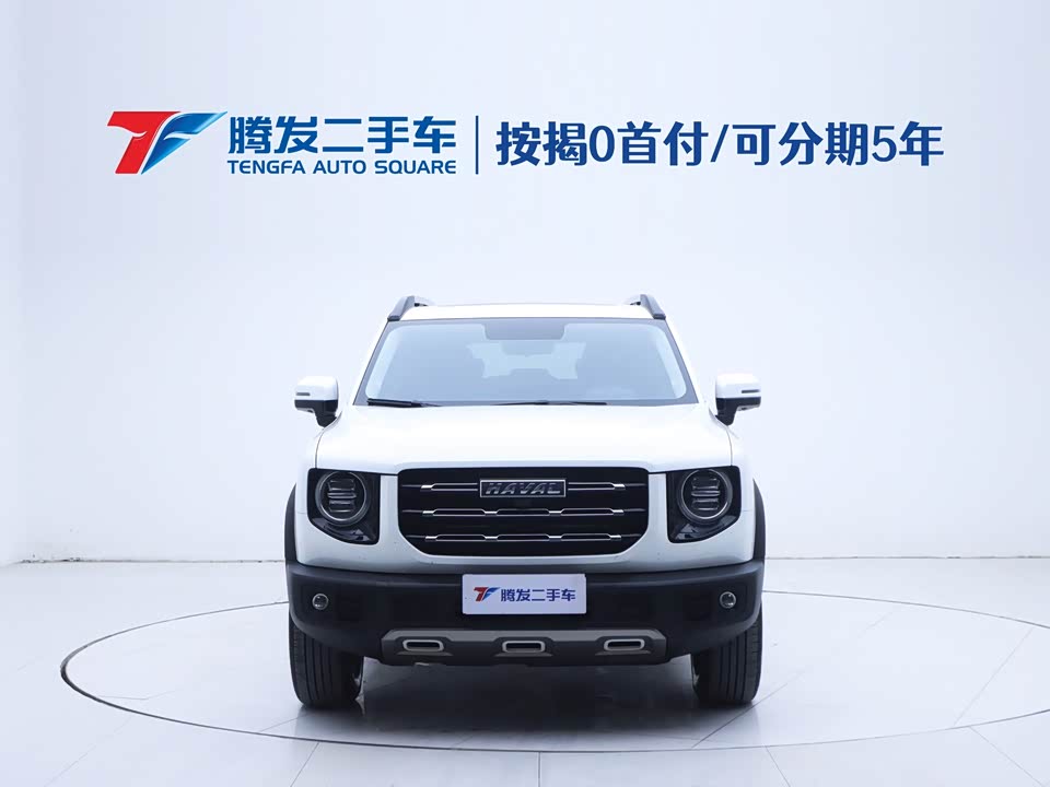 Haval Big dog