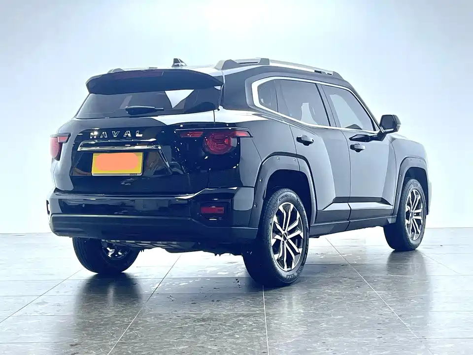 Haval Big Dog PLUS