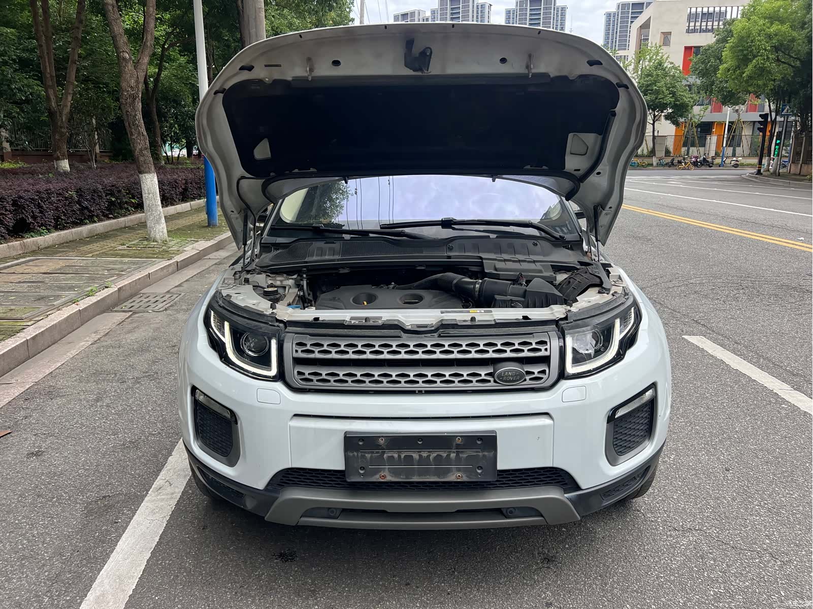 Land Rover Range Rover, 2017 16
