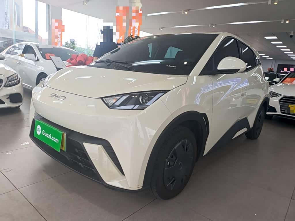 BYD Seagull