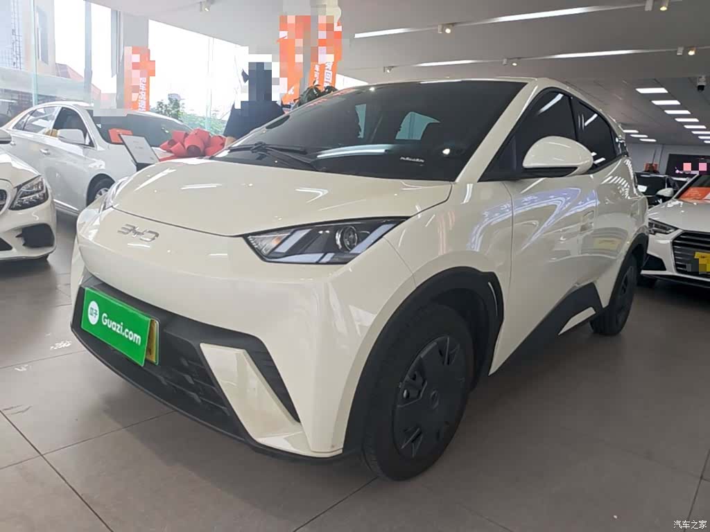 BYD Seagull, 2024 1
