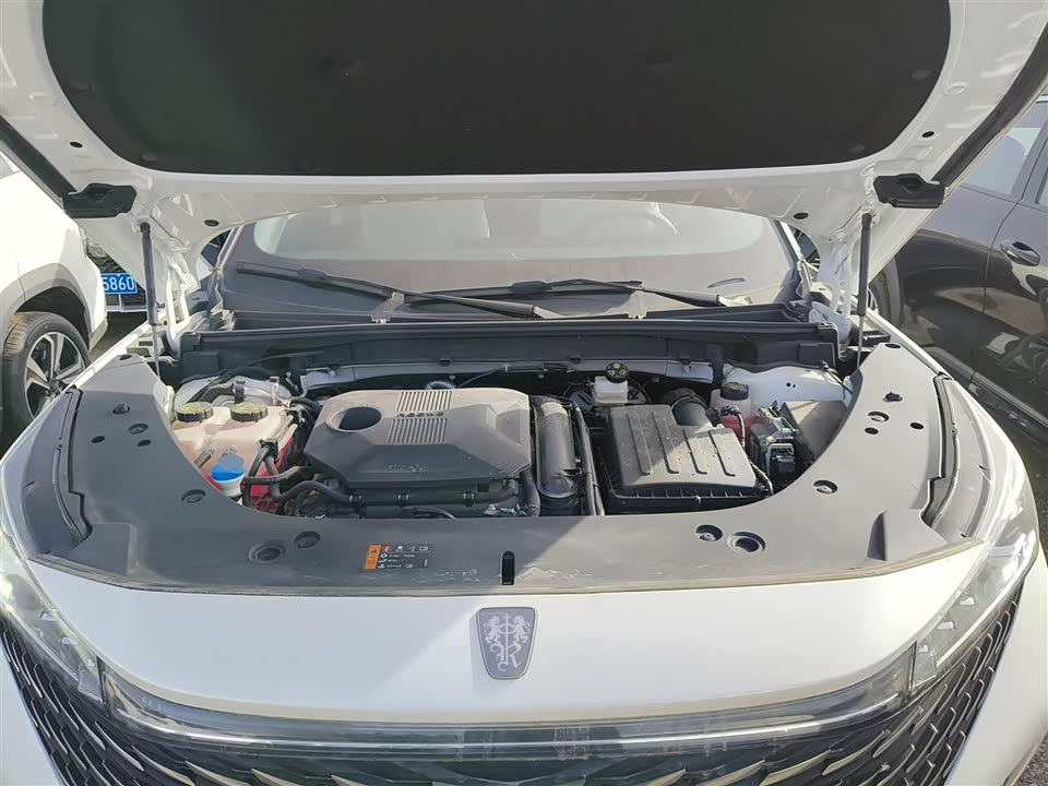 Roewe RX5 New energy