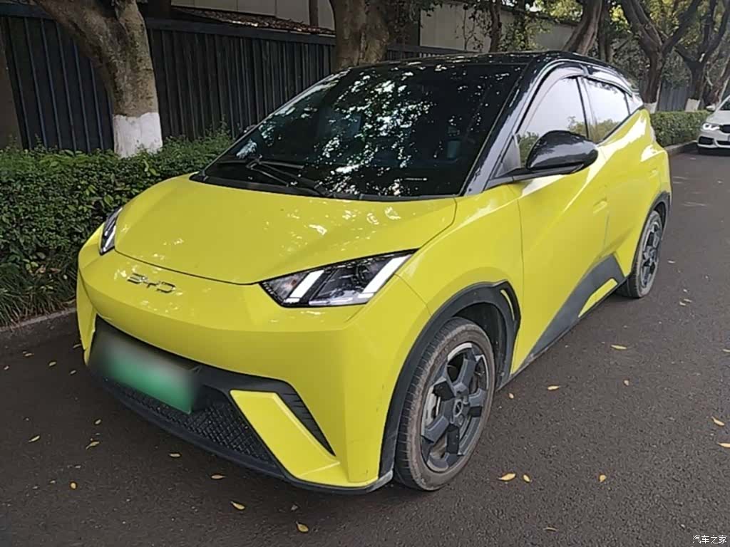 BYD Seagull, 2023 2