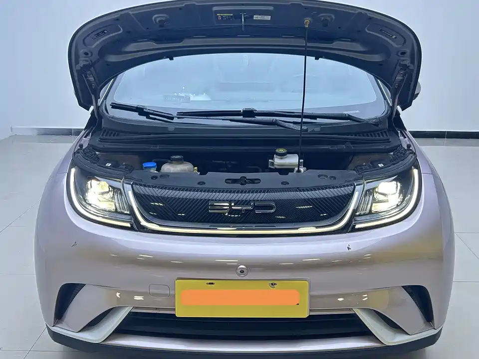 BYD dolphin BYD dolphin