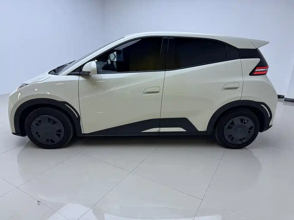 BYD Seagull BYD Seagull