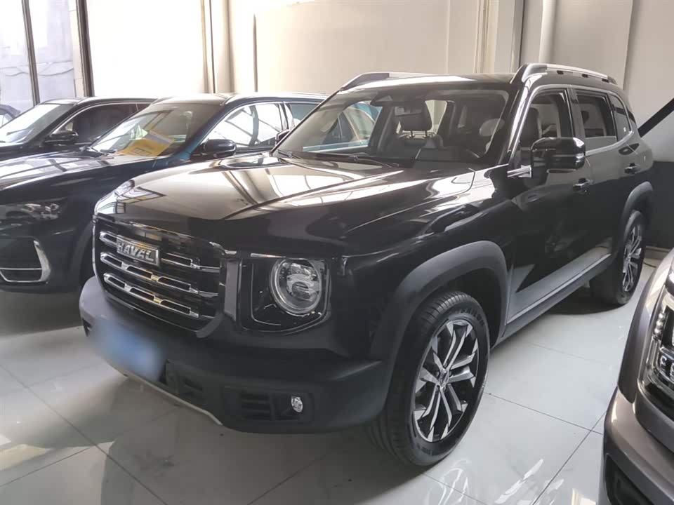 Haval Big dog