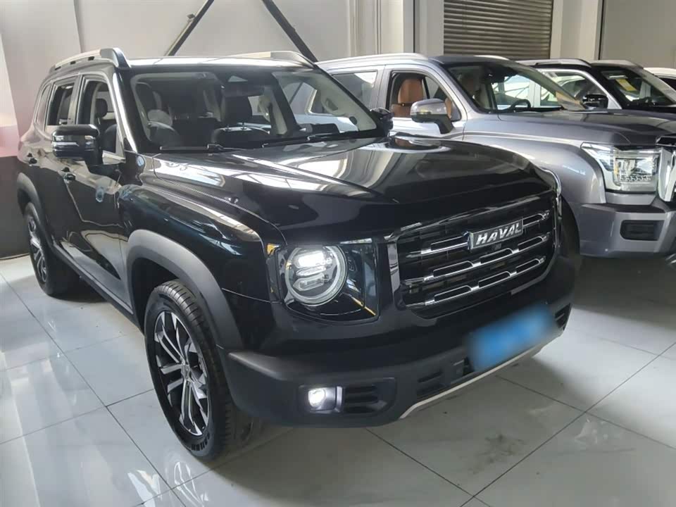 Haval Big dog