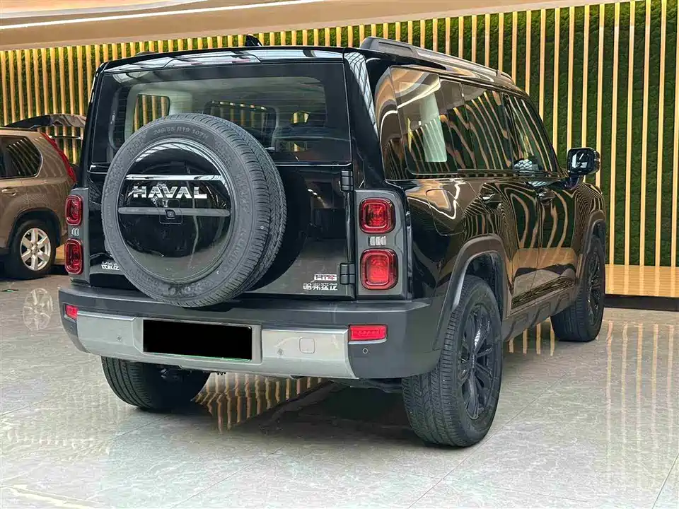 Haval Raptors