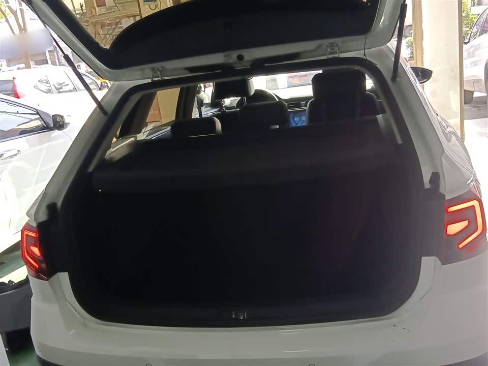 Volkswagen C-TREK Wei Collar