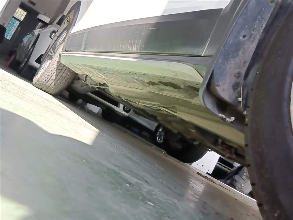 Volkswagen C-TREK Wei Collar