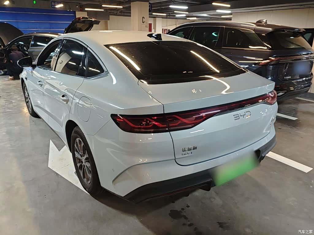 BYD Qin, 2025 все фото