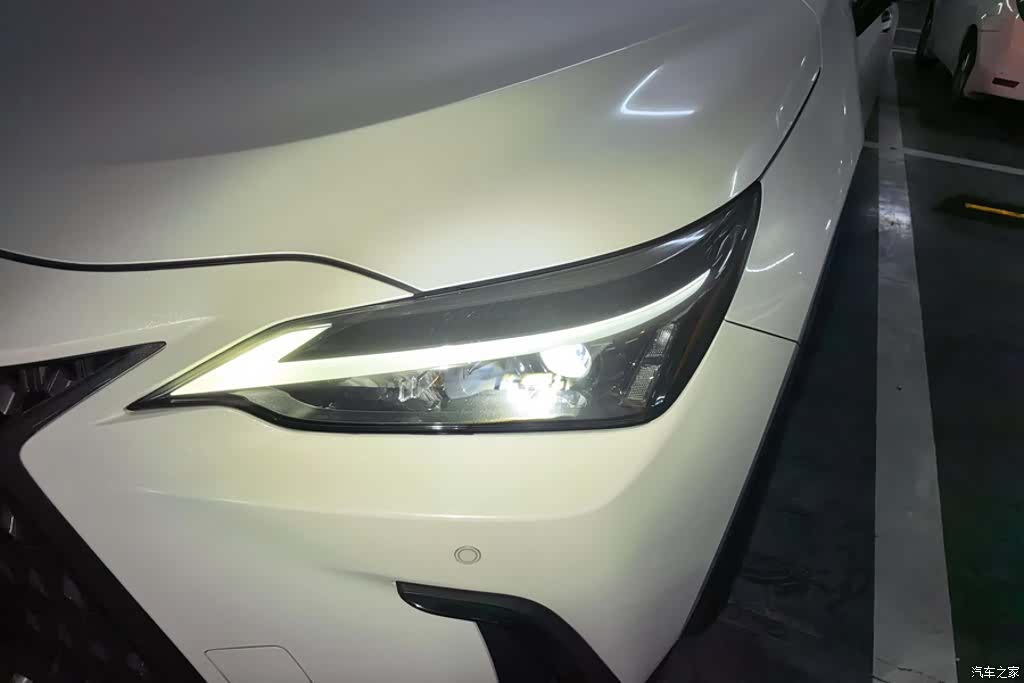 Lexus NX, 2022 все фото